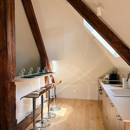 La Maison En Bord De Saone - Rive Droite Appartement Neuville-sur-Saône