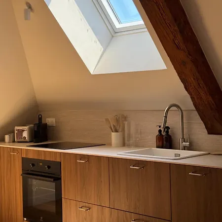 Appartement La Maison En Bord De Saone - Rive Droite *