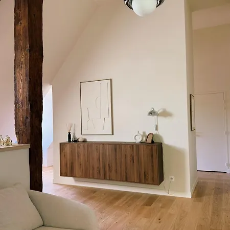 La Maison En Bord De Saone - Rive Droite * Neuville-sur-Saône