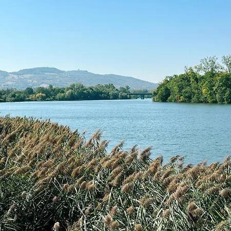 La Maison En Bord De Saone - Rive Droite Appartement *